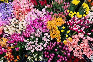 Switch中文配音来了！《巫师3》4.04版本上线